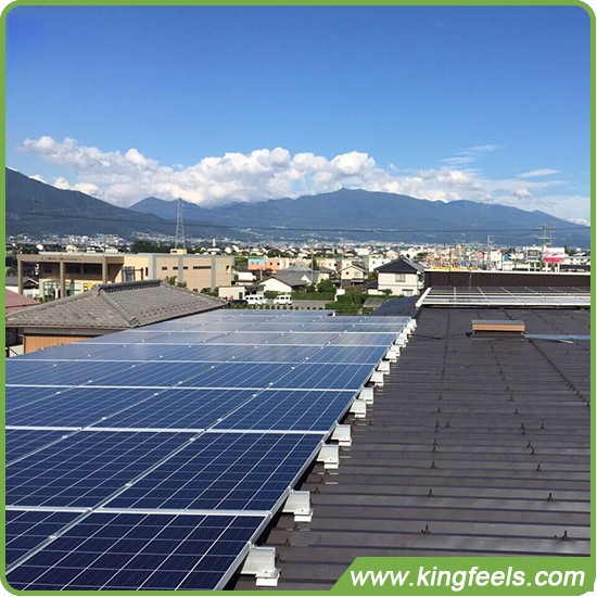 В Нидерландах растет количество общественных солнечных проектов
