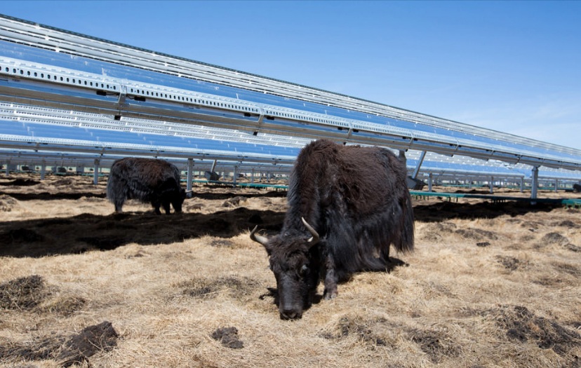 Apple создает фонд в 300 миллионов долларов для строительства солнечной энергетики в Китае
